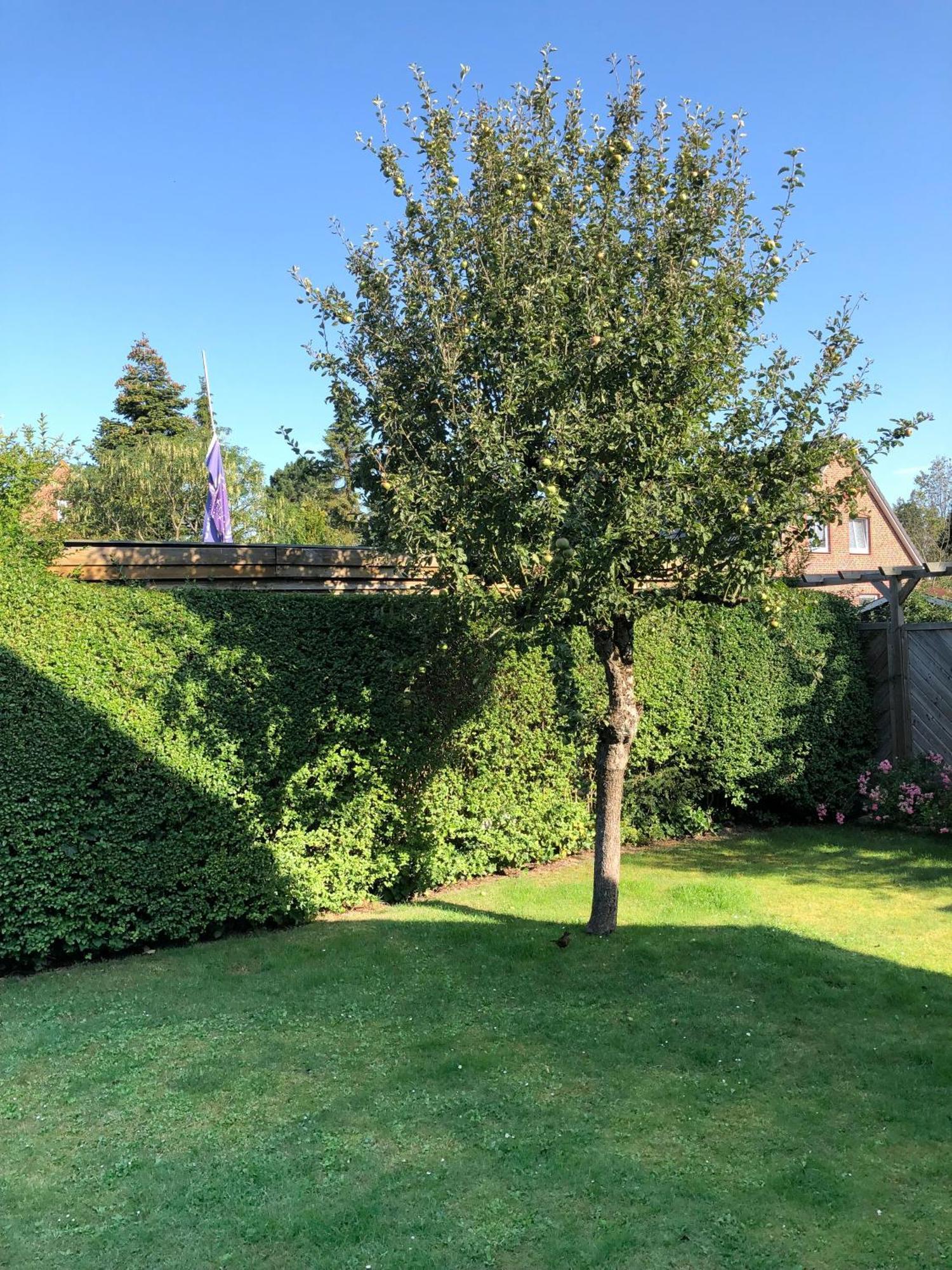 Pier 14 Villa Wyk auf Föhr Dış mekan fotoğraf